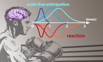 The brain predicts events with varying degrees of accuracy