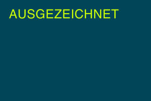 Tiburtius-Preis 2025: Nachwuchsforschende der Freien Universit�t �berzeugen mit Spitzenleistungen