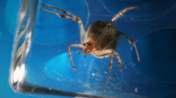 Transparent in Sachen Tierversuche