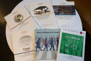 Universität Tübingen verzeichnet großartigen Erfolg im Exzellenzwettbewerb