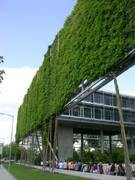 Beispiel f�r Vertikalbegr�nung. Foto: Sigurd Henne