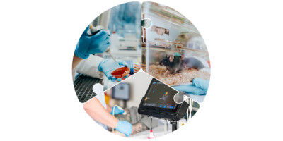 Vom Labor ans Krankenbett - und zur�ck