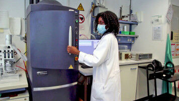 Vom Labor zum Medikament: Nanopartikel gegen Krebs