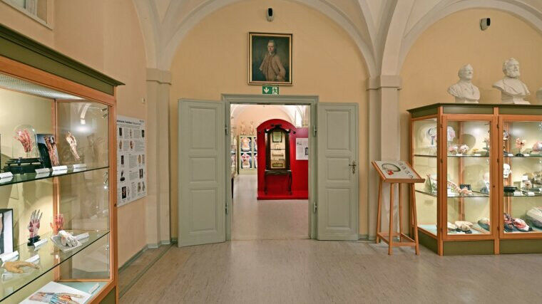 Blick in die neugestaltete Anatomische Sammlung Jena: Das neue Ausstellungskonze