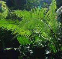 ,,Von der Sehnsucht nach Sonne und Gl�ck