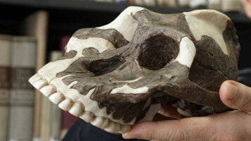 Von Kolonialismus, Rassismus und seiner �berwindung