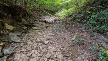 Warum versiegt das kostbare Nass?