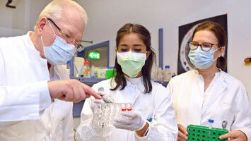 Welche Rolle spielt die Darmflora bei Alterungsprozessen im Hirn?