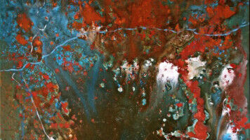 Wenn sich Kunst und Wissenschaft begegnen