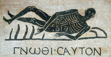 Wer sind wir? Konzepte des ,Selbst' in der Antike