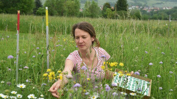 Wertvolle Daten f�r alle verf�gbar machen