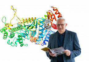 Weshalb Herzkranke auf Sahnetorte verzichten sollten