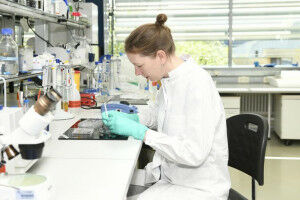 Wie altern die Zellen in unserem Gehirn?