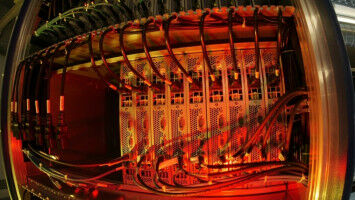 Wie ein Schimmelpilz das Immunsystem lahmlegt