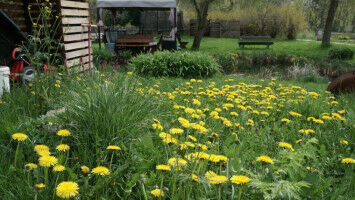 Wie G�rten zum Schutz von biologischer Vielfalt beitragen k�nnen