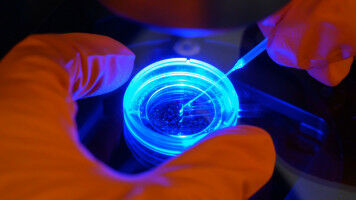 Wie sp�t ist es auf der biologischen Uhr?