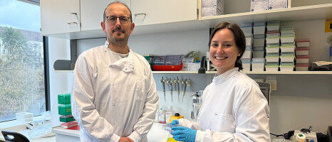 Wie Vitamin B2 den Weg zu neuen Krebstherapien er�ffnen k�nnte