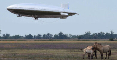 Zebras, Wildpferde und fliegende Roboter-Teams