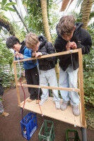 Zeitreisen, W�rfelspiele und Algorithmen: Entdeckungstour an der Uni Bonn