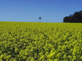 Zu wenig Land in Sicht!