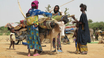 Zwischen Stadt und Savanne